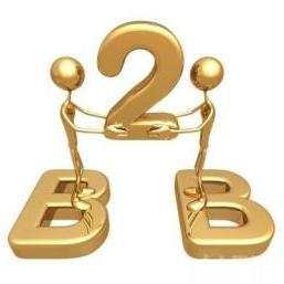 电器辅件B2B电子商务 机遇、挑战与战略升级