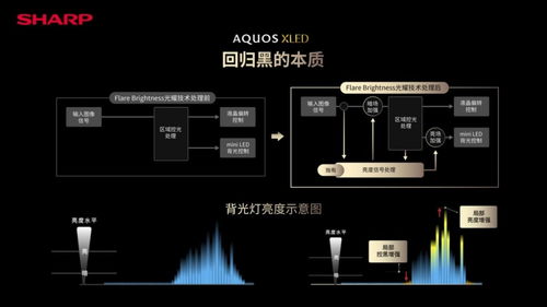 沉浸式全面屏旗舰 夏普AQUOS XLED新品4K电视发布，售价16999元开启视听新纪元